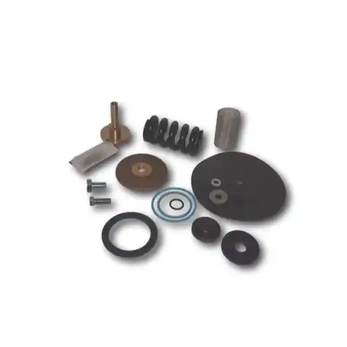 Wilkins RK2-600XLHR 600XL 2 inches Regulator Kit Replacement MPN