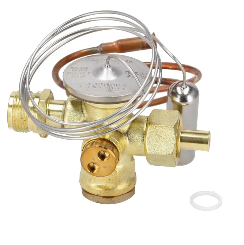 Rheem 61-109959-01V Expansion Valve (TXV) - Valve Only