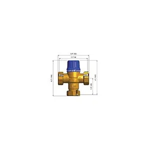Cash Acme CM24501 Heatguard HG110-D Thermostatic Mixing Valve 1/2 in C