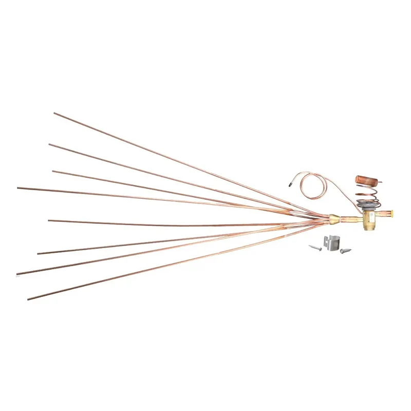 Rheem 61-42662-29 Thermal Expansion Valves