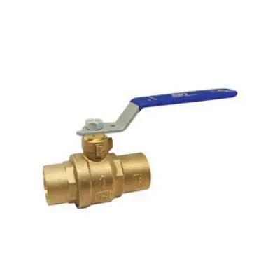 Red-White Valve 5549DAB-1 2-Piece Ball Valve With Handle 1 in 5549DAB