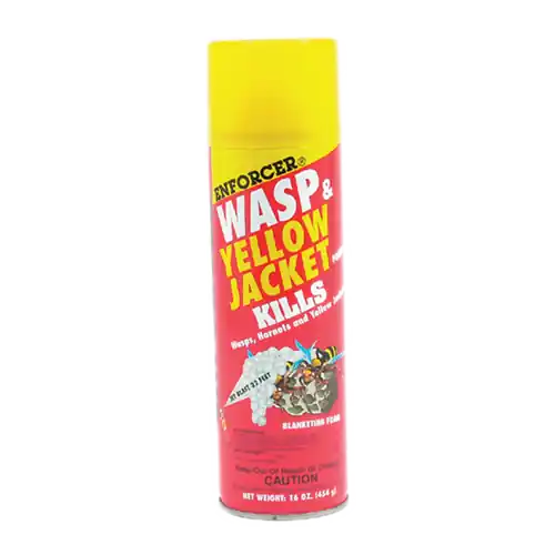 Diversitech 8-FWH16 Enforcer Wasp & Yellow Jacket Foam 16 oz Aerosol