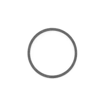 Bell Gossett p04890a Gasket Body for Series Hv 1 Inch and 2 Inch Series Obsolete Pumps