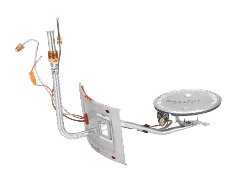 Ruud AM50509 Burner/Door Assembly