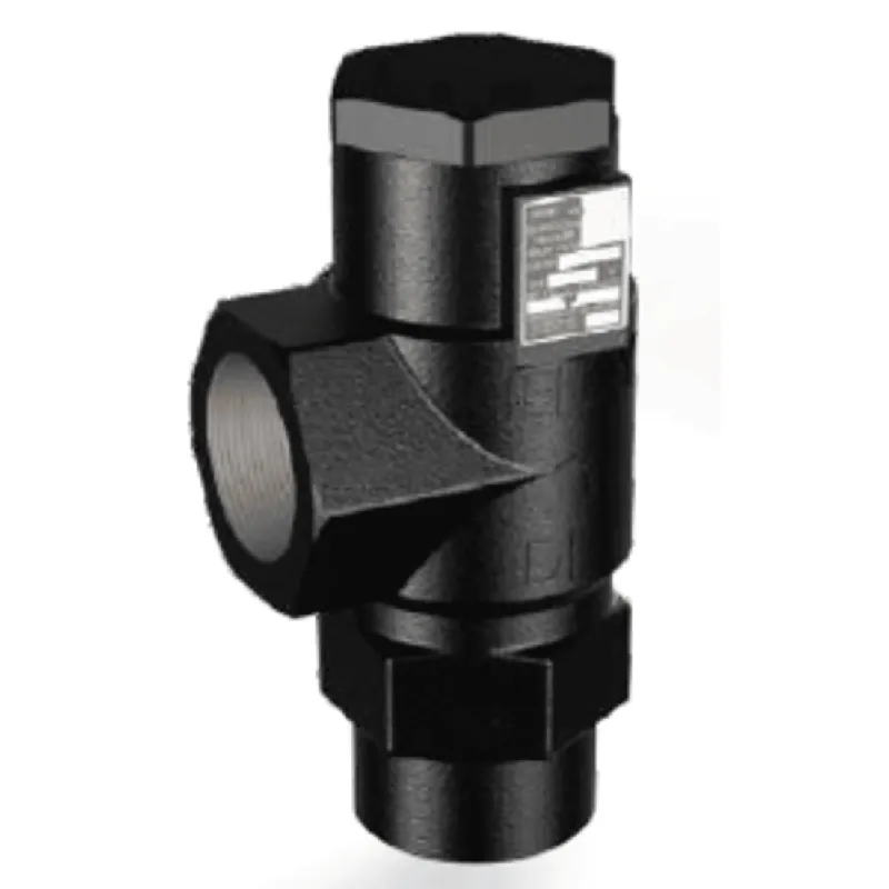 Henry Technologies 5604-250 Cast Iron Angle Relief Valve 250 Psi 1-1/4 Fpt Inlet 1-1/2 Fpt Outlet