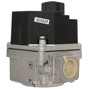 Source1 2546611000 Natural Gas Valve Replacement 36H55-405