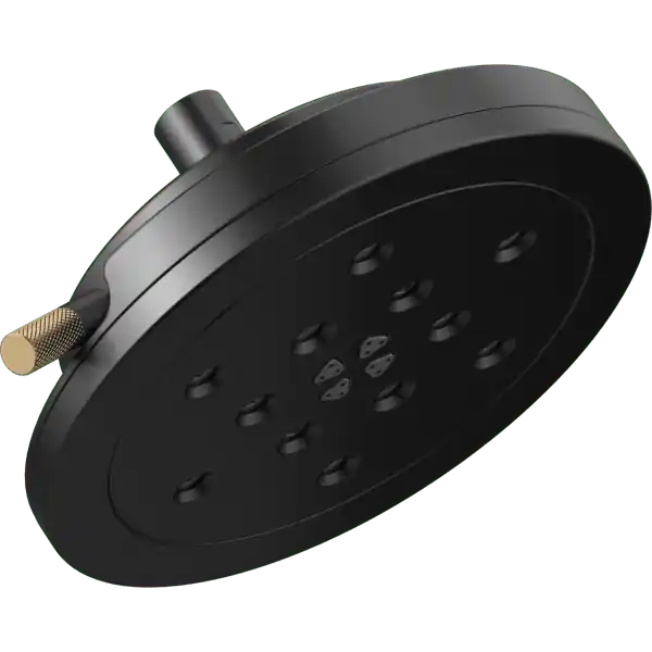 Brizo 87435-blgl Litze 8 Inch Round Raincan Showerhead Matte Black Gold