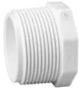 Charlotte Pipe 450-005 Schedule 40 Pvc Plug Mipt 0.5 Inches