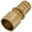 Rehau 317184-001 Everloc+ 1/2 Inches Pexa to Female Sweat Copper Brass Adapter Lead Free