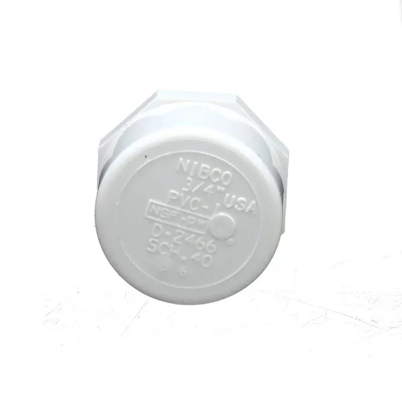 Tradepro TP-PVC-448007A FIPT Thread Cap PVC Sch 40 (Bag of 10)