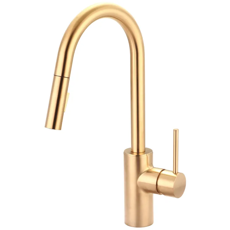 Pioneer 2MT260-BG Motegi Single Lever Pull-Down Kitchen Faucet 1.5