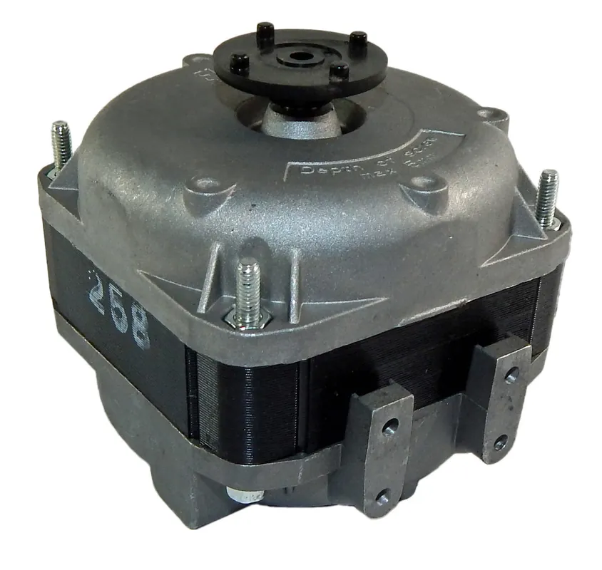 Tecumseh 16w230 Elco Reversible Motor 230V