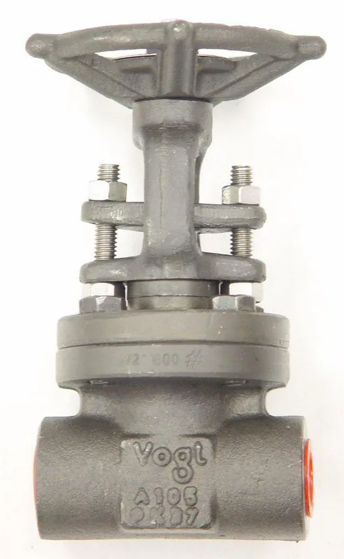Vogt Valves 12111sw 3/4 Gate Valve 800#