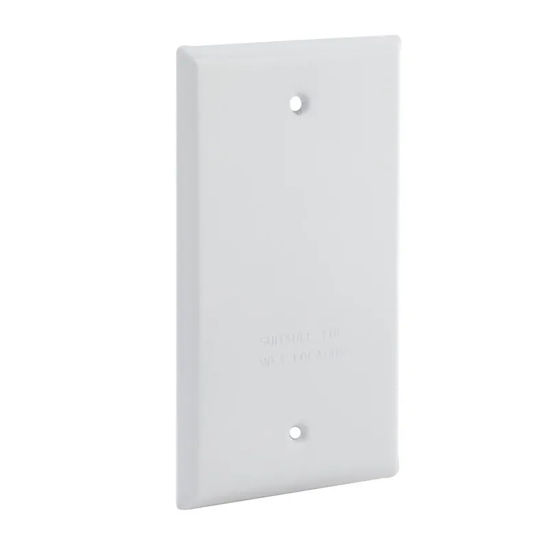 Hubbell 5173-1 Raco 1g Vert/Horiz Wp Cover Blank