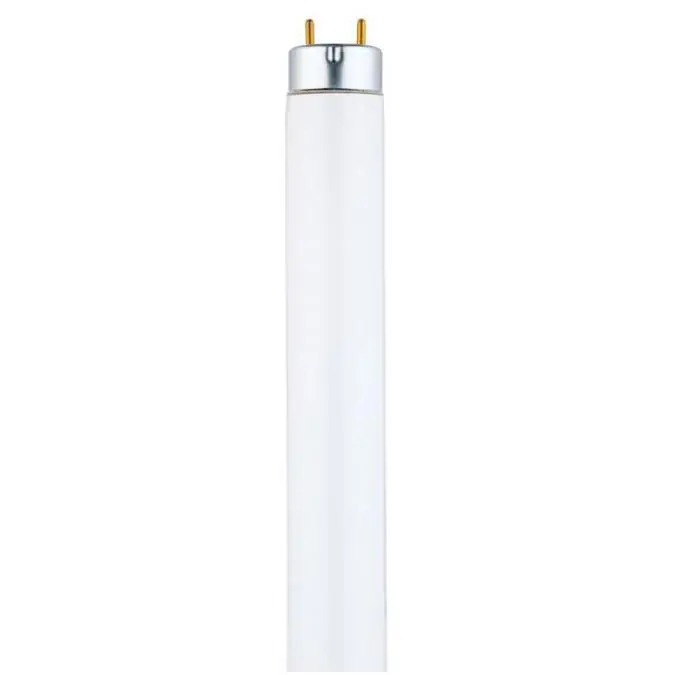 Westinghouse Lighting 3741300 t8 linear fluorescent lamp 32 watt 48 inch