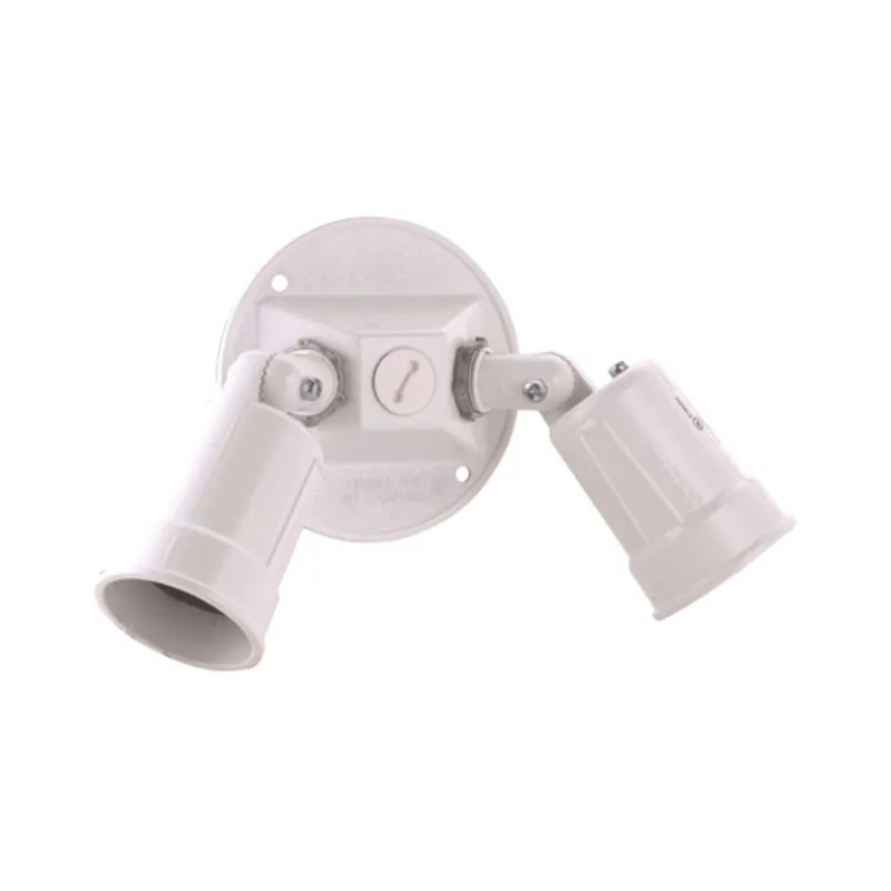 Hubbell 5625-1 4 in. Round Weatherproof Combination Cover 75-150W Par 38 Lamps