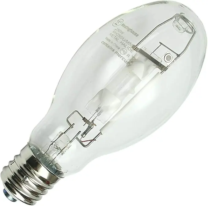 Westinghouse Lighting 3702100 ED28 HID Bulb 250 watts 1 pk