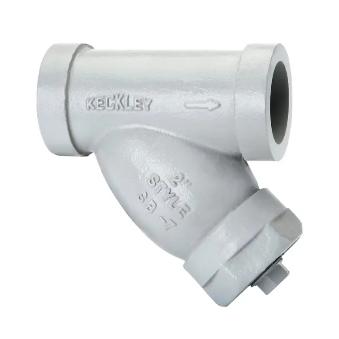 Keckley 25SWY-CS062P34-GTI-SB7 Wye Strainer 2 in