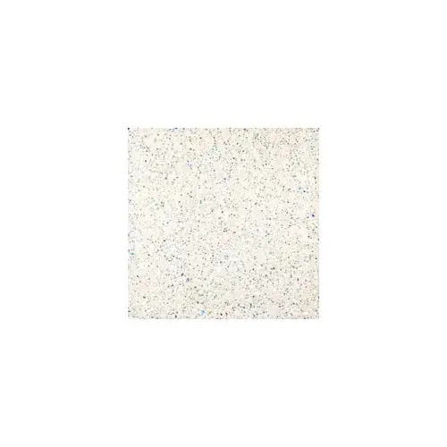 Premix Marbletite 50488 Mystic Ice White Quartz Pool Finish 80 Lb