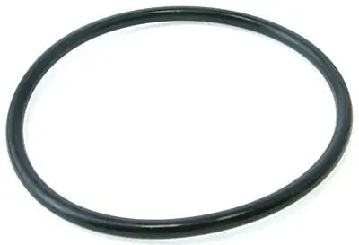 Pentair 59000600z Bulkhead O-ring Fns Plus De Filter