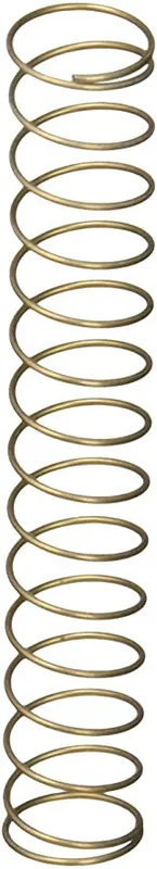 Pentair 072524z Stainless Steel Spring Check Valve Spring