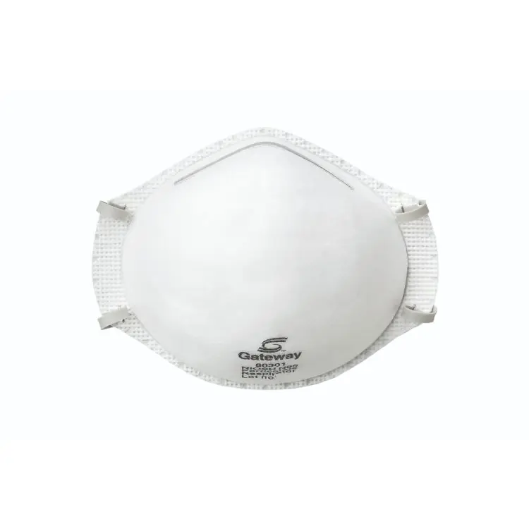 Gateway Safety 80301 TruAir N95 Particulate Respirator (20/Pack)
