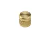 Cps Products avc4 Brass Sae Valve Caps 1/4 (Pack of 2)
