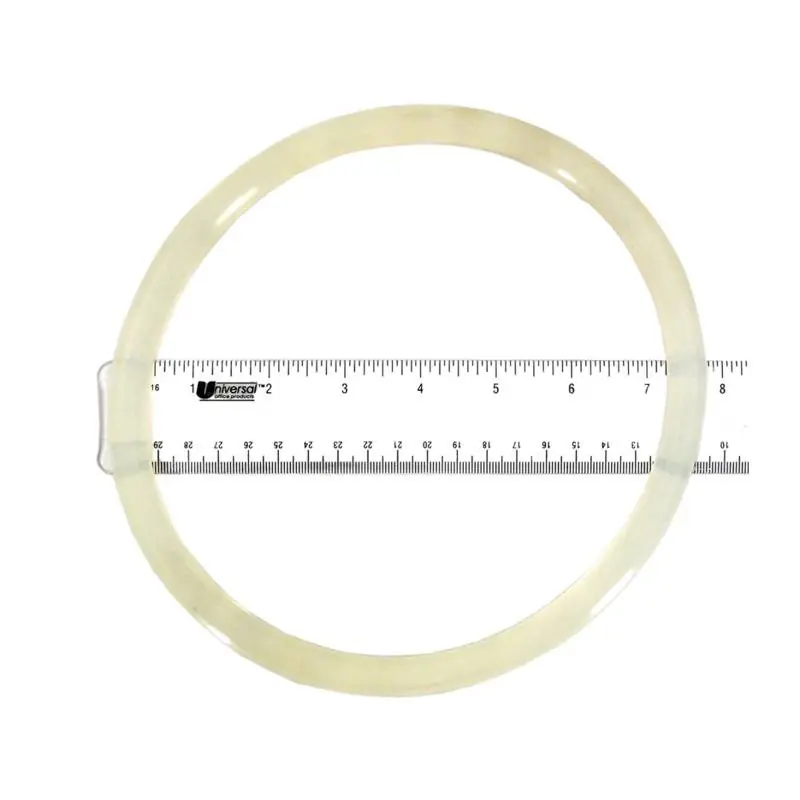 Astral Products-fluidra 740r1700120 O-ring Aster Filter Lid