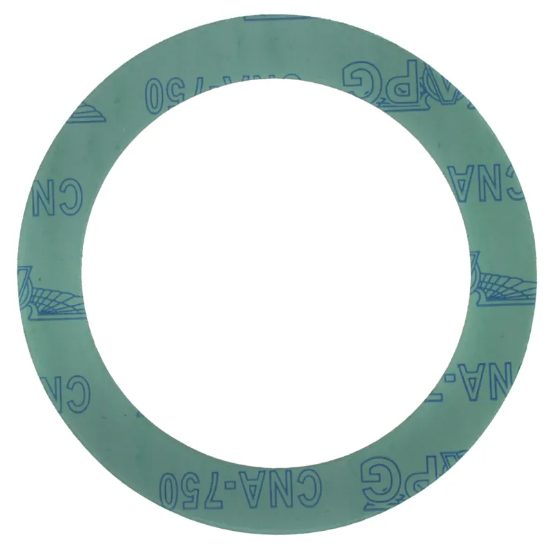 Matco-norca gna6 Full Face Ring Gasket 6 Inches