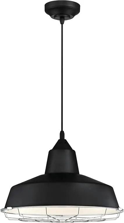 Westinghouse Lighting 6131900 Academy One-Light LED Indoor Pendant with Removable Chrome Cage 20-Watt
