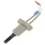Ao Smith 100110899 Igniter Natural Propane Gas Commercial