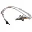 Ao Smith 100281571 Thermopile Assembly