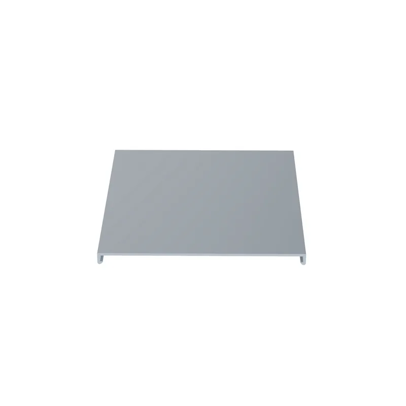 Panduit C6LG6 Duct Cover, 6 in. W x 6 ft.