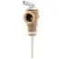 Ao Smith 100109259 3/4 Inch Tp Relief Valve Water Heater