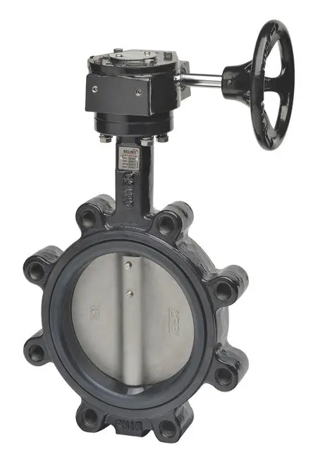 Belimo F6200L+ZD6N-S150 Butterfly Valve 8 inches Inch