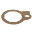 A.o. Smith 100338931 Cork Gasket