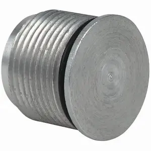 Killark GO-8177 G Series - Hole Plug - 3/4 inches NPSM