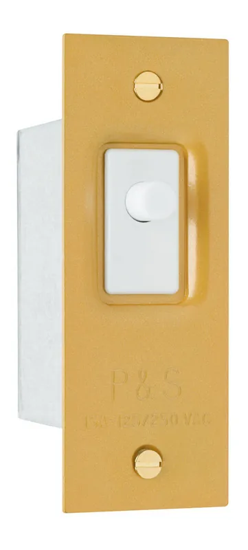 Pass & Seymour 1201 Canopy Switch 15A