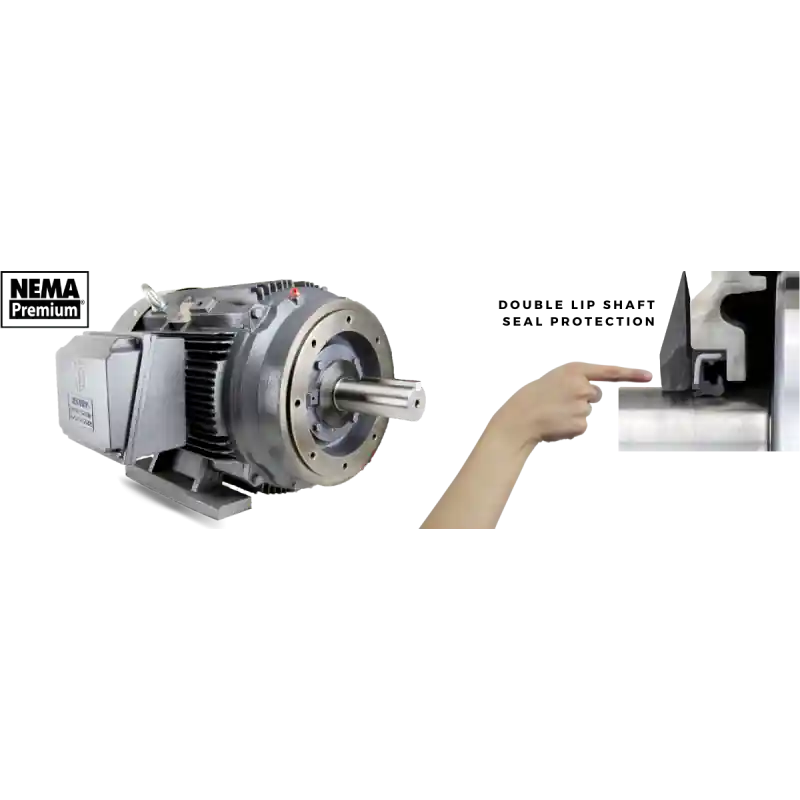 Techtop Industries GR3-CI-TF-254T-4-BR-D-15 NEMA Premium Cast Iron TEFC 1800 RPM 15 HP 254T