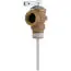 A.o. Smith 100108279 T and P Relief Valve Residential