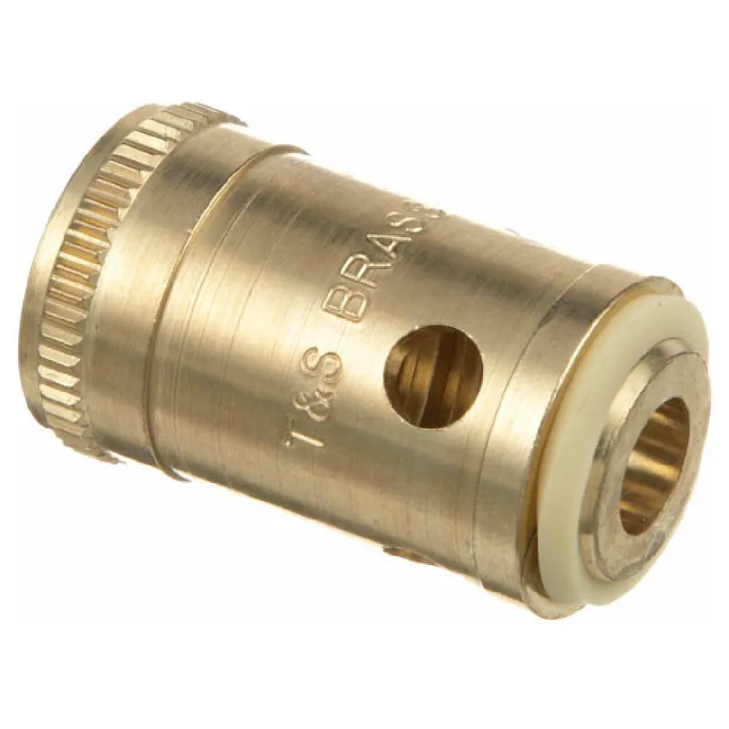 T&S Brass 789-20 Removable Insert-Cold