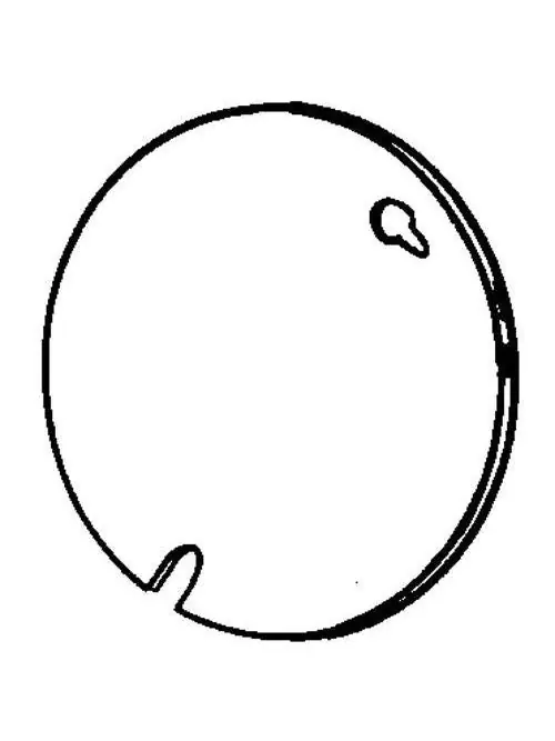 Appleton 8301A Round Box Cover Blank 3-1/4 inches