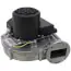 Ao Smith 100111050 Blower Assembly