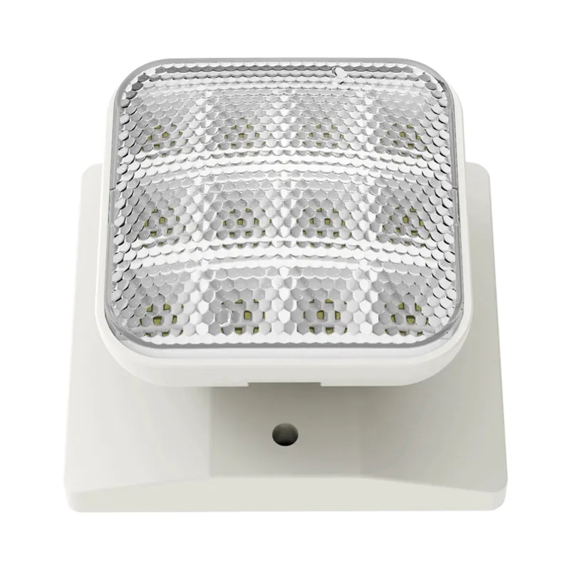 Rab EREMOTE-1 Emergency Remote Heads 90lm