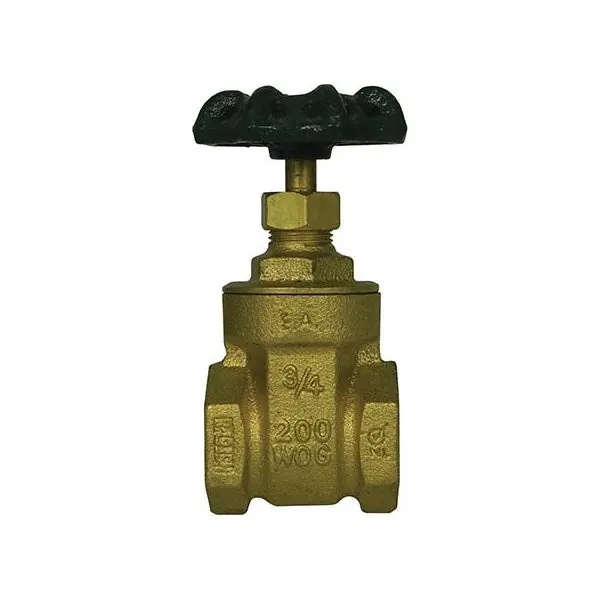 A.Y. Mcdonald 5420-131 72035T Gate Valve 2 inches FNPT