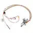 Ao Smith 100293455 Pilot Thermopile Kit Natural Gas