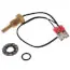 Ao Smith 100291049 Temp Sensor Assembly Kit