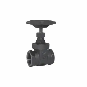 Red-White Valve 206F 3/4 gate valve 3/4