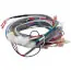 Ao Smith 100351312 Main Wiring Harness