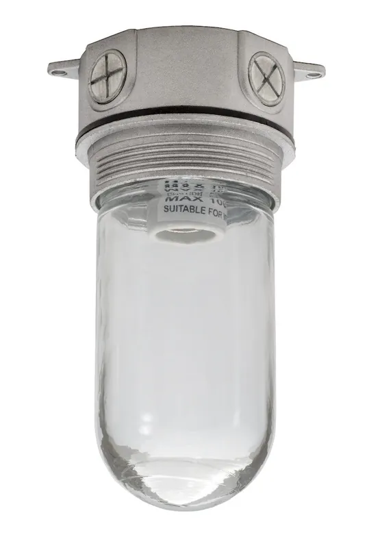 Topaz VFI100W75CG Vapor Proof Fixture Ceiling Pendant 3/4 inches VFI100W75CG